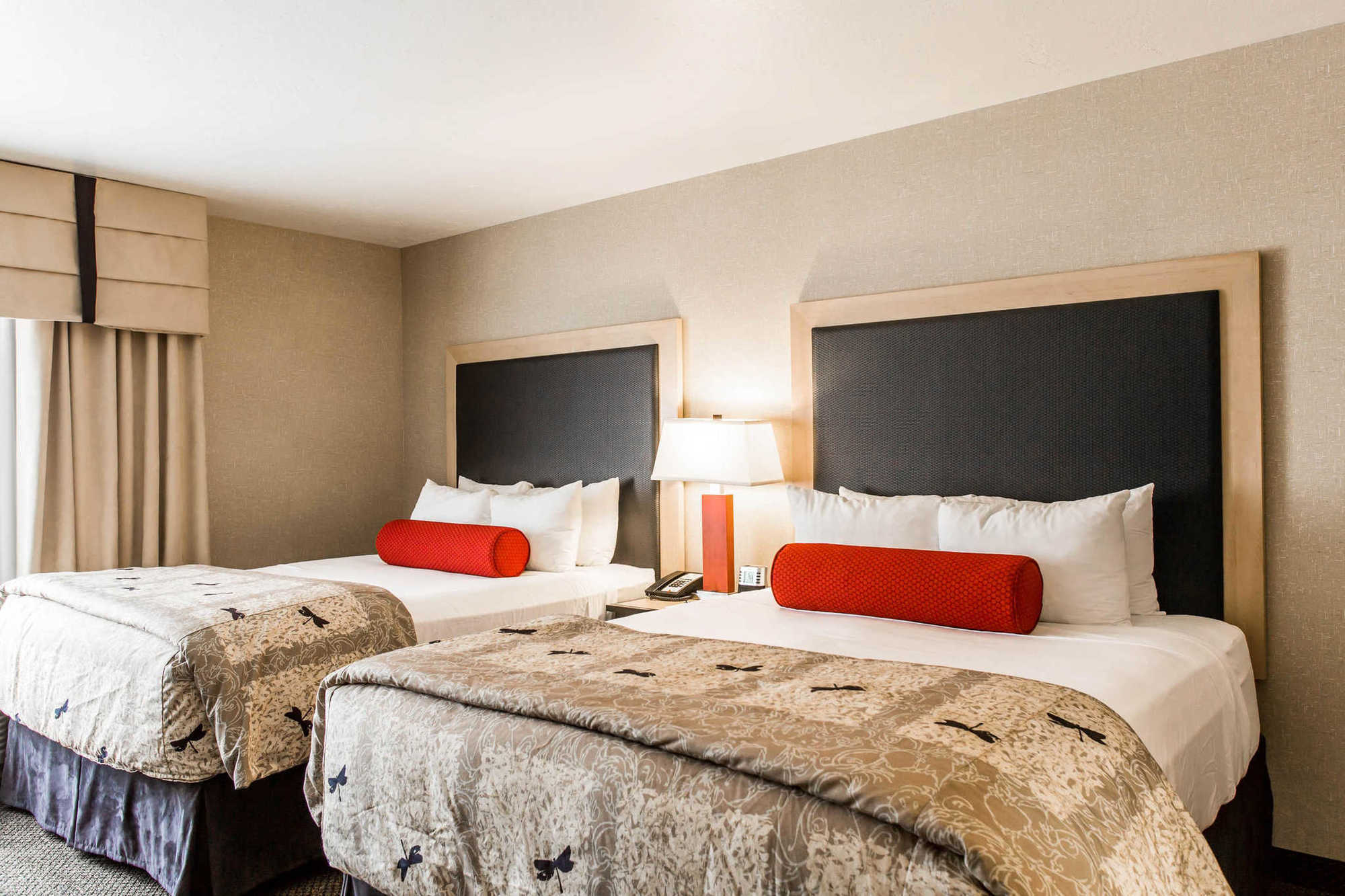 Springhill Suites By Marriott Roanoke Quarto foto