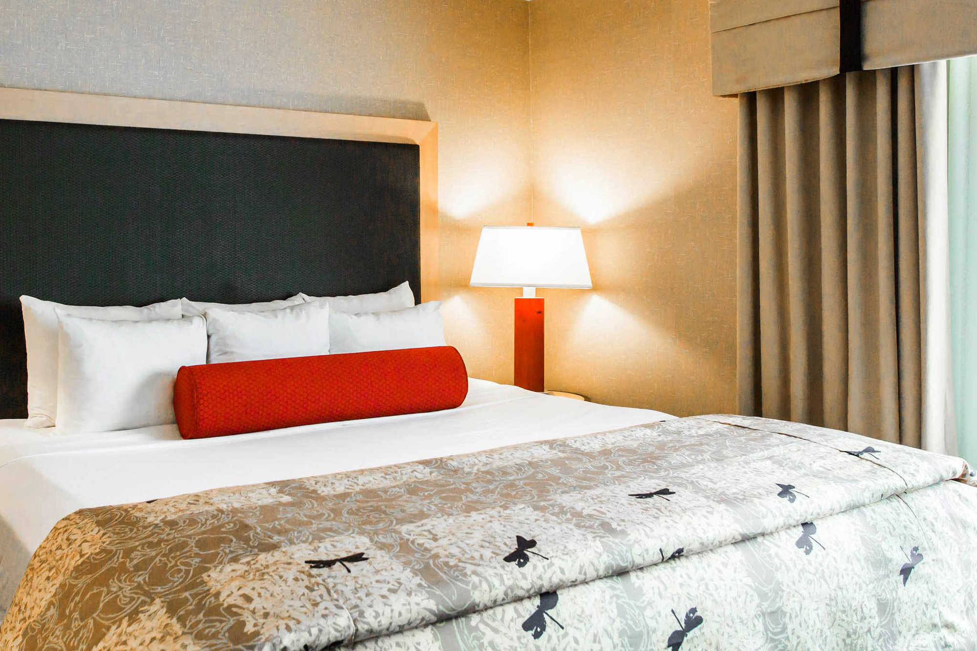 Springhill Suites By Marriott Roanoke Quarto foto